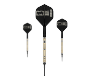 Target Dimitri Van Den Bergh 95K Softdarts - 19g