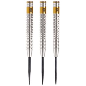 24 Gramm Steeldart Dartbarrel Silber mit PVD Gold Beschichtung