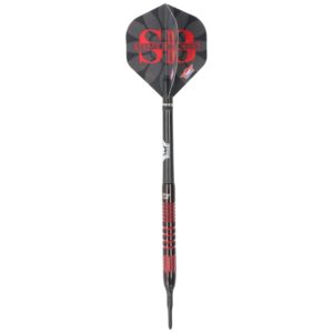 Bull's Stefan Bellmont Softdart