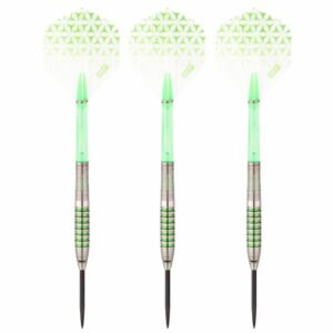 Lukas Wenig V2 R2 Interchange Steeldart