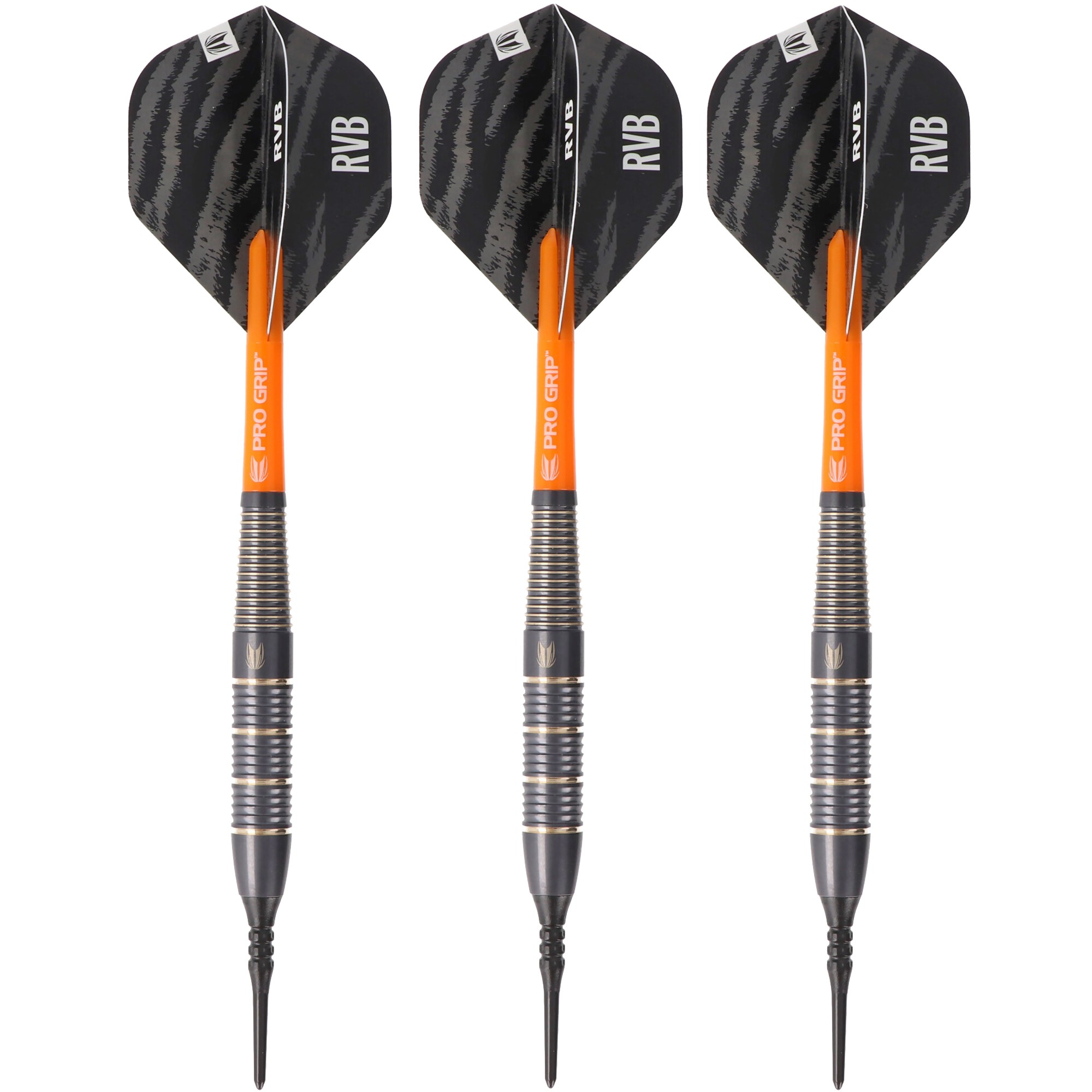 RVB Raymond van Barneveld Softdart