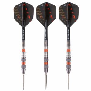 Target Raymond van Barneveld Black