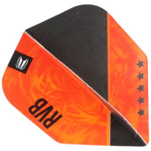 Target Vision Ultra Player Flights Raymond van Barneveld G4 No.6