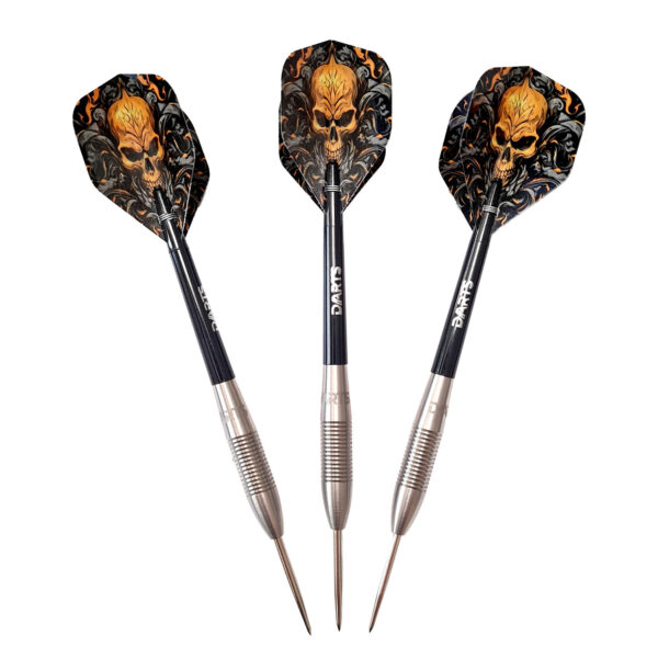 NX1 Silber Steeldarts 90% Tungsten 21g