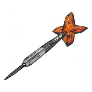 RVB - Raymond van Barneveld Gen3 21G SWISS POINT Steeldarts 2020